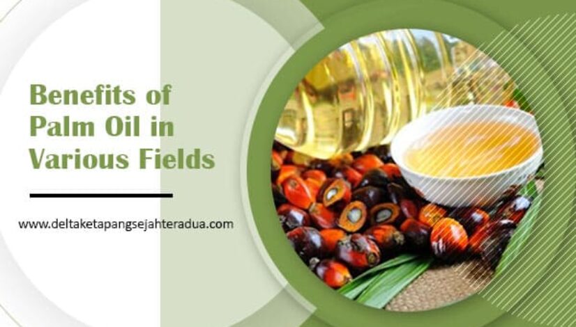 Benefits of Palm Oil in Various Fields
