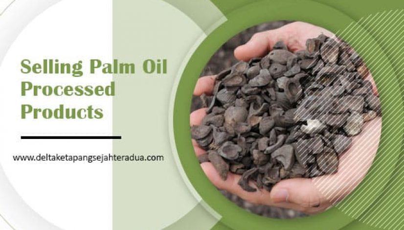 Selling Palm Oil Processed Products